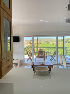 Delis vineyard villa near airport & sea